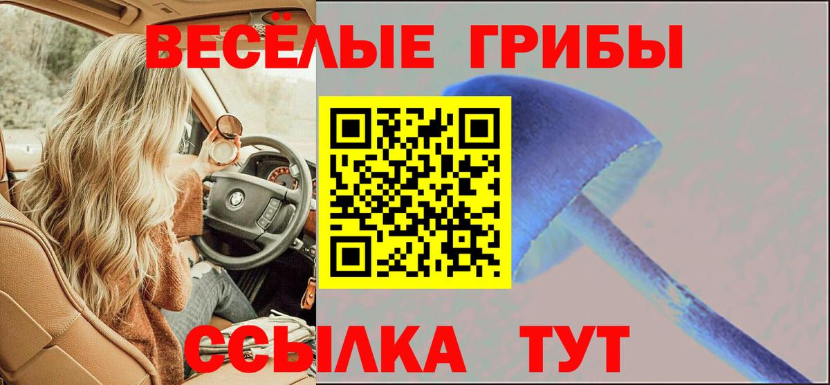 Галлюциногенные грибы мухоморы Дагестанские Огни
