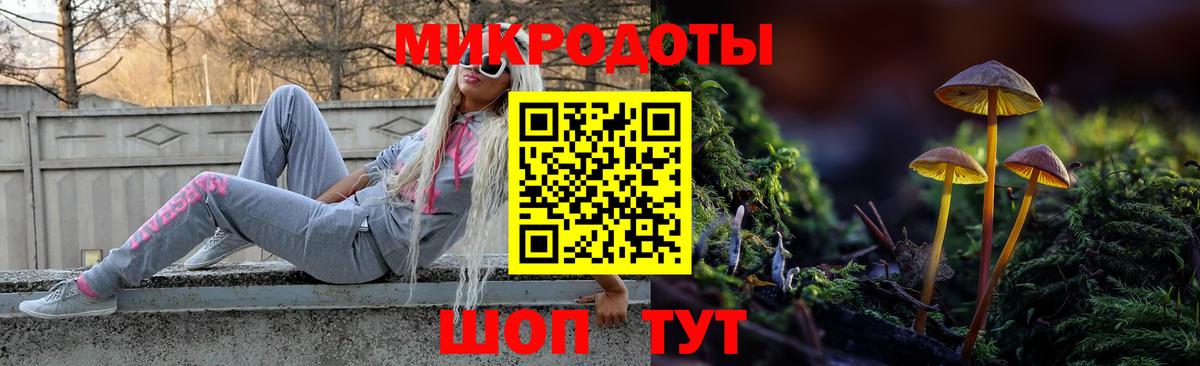 Псилоцибиновые грибы прущие грибы  Псилоцибиновые грибы прущие грибы  Вход с VPN  Дагестанские Огни 